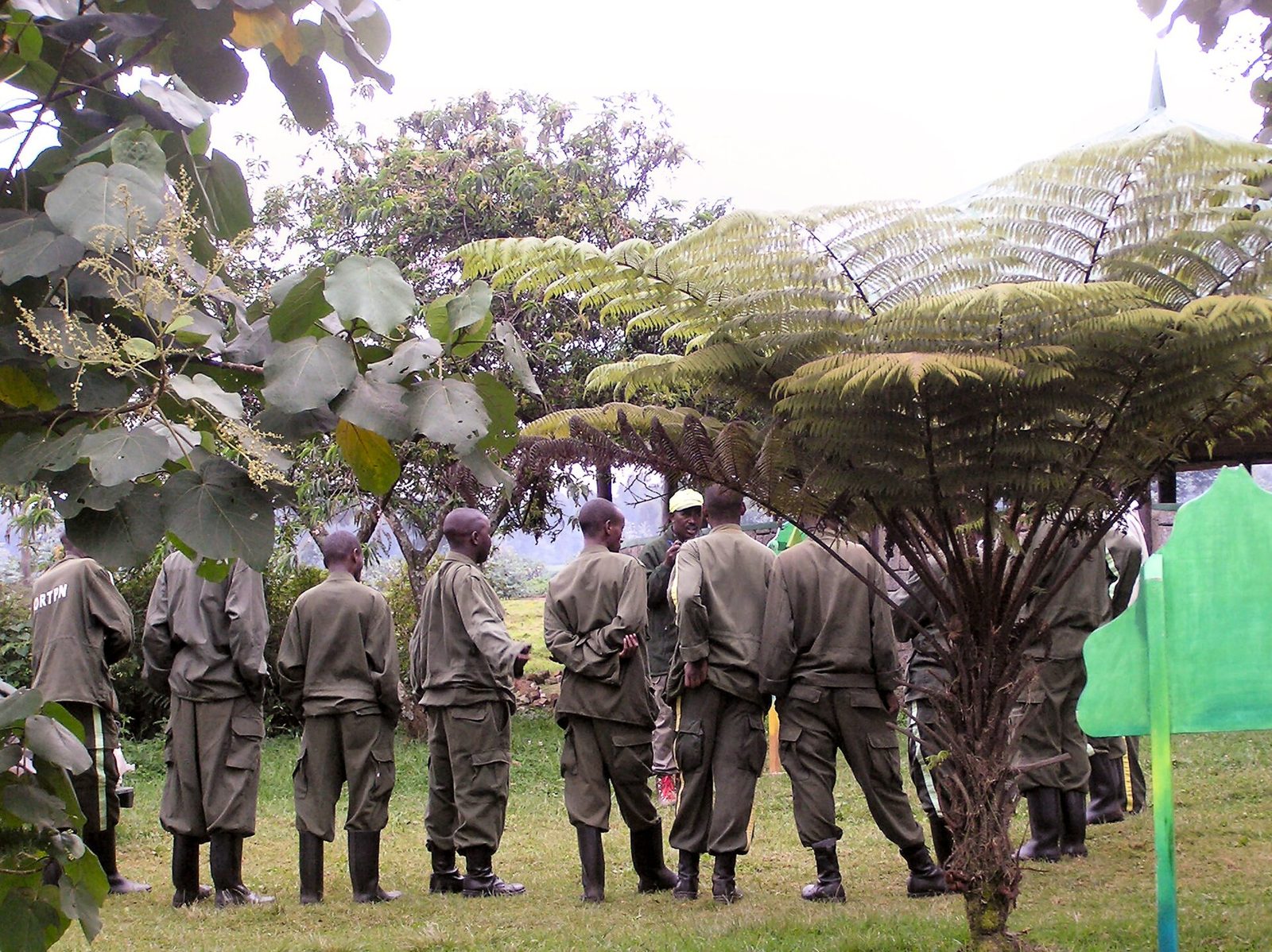 Trekkers in rain jackets listening to a ranger guide at a hillside shelter at dawn