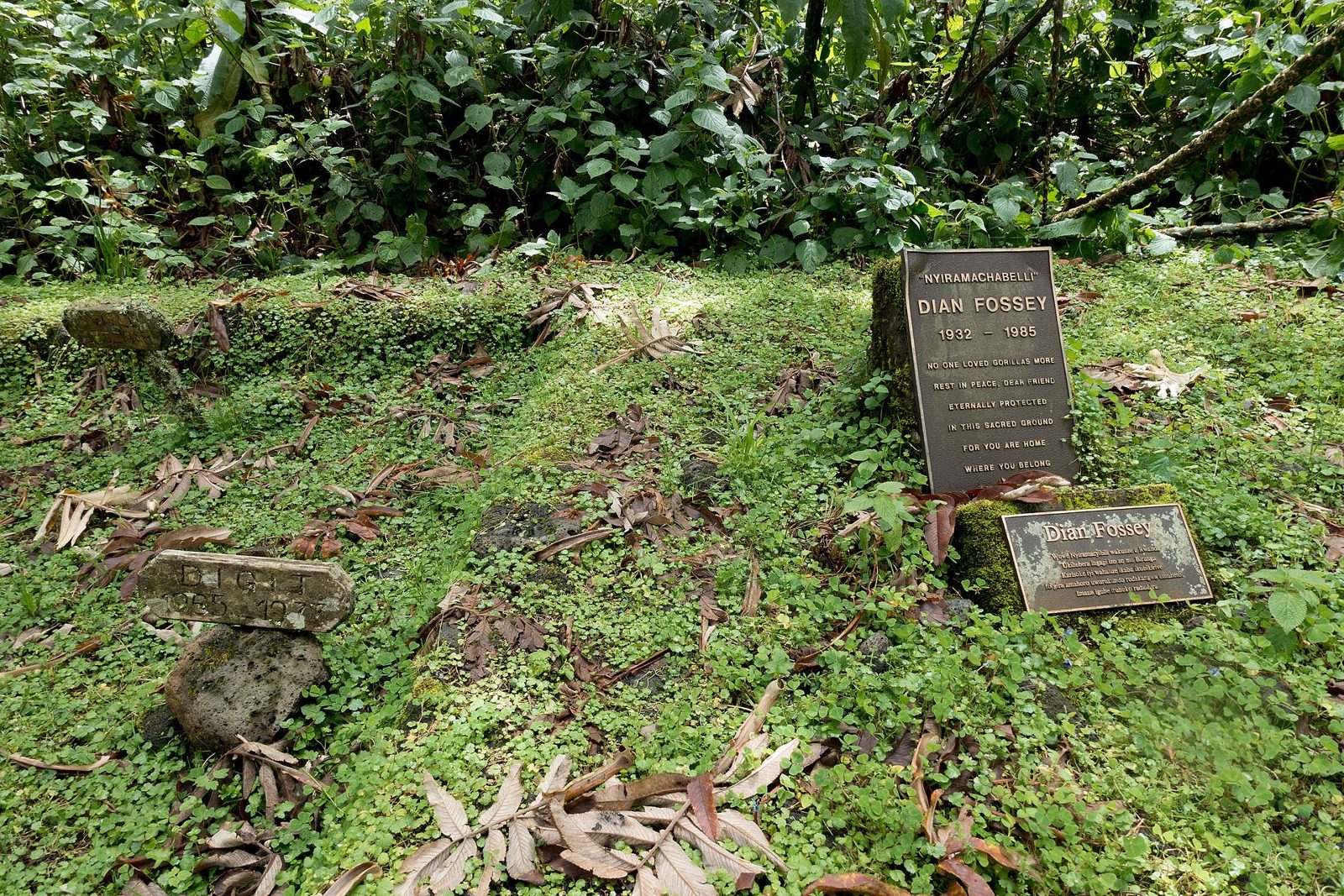 Dian Fossey memorial setting in mountain forest