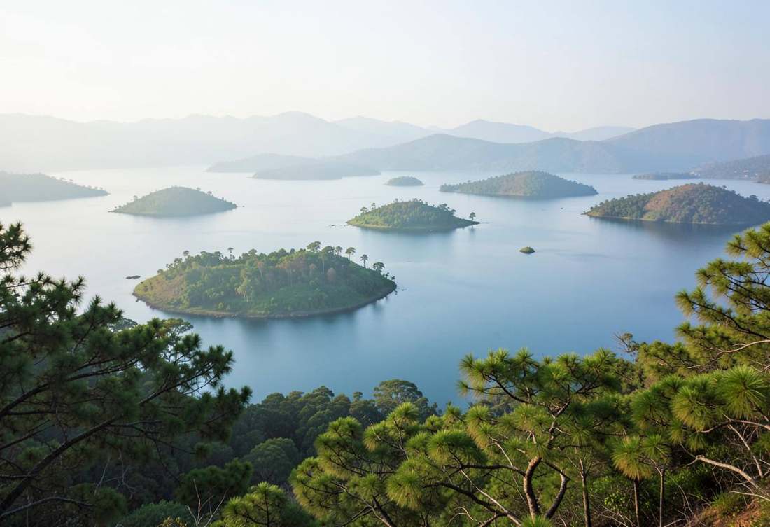Green islands scattered across Lake Kivu seen from a pine ridge